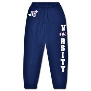 NEW ISCREAM girl's varsity sweatpants in navy